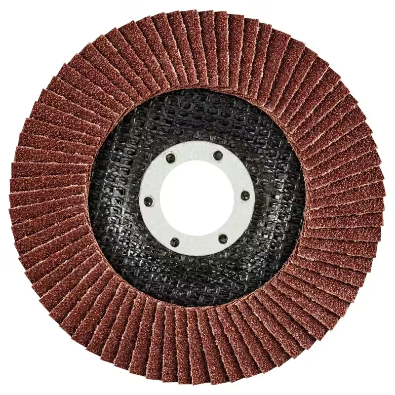 DISC POLIZARE LAMELAR EVANTAI 115MMK80 (55H983)